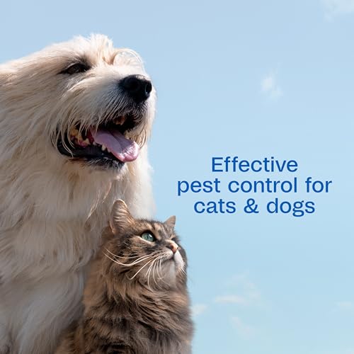 ADAMS Plus Flea and Tick Spray applied to cat for monthly protection.
