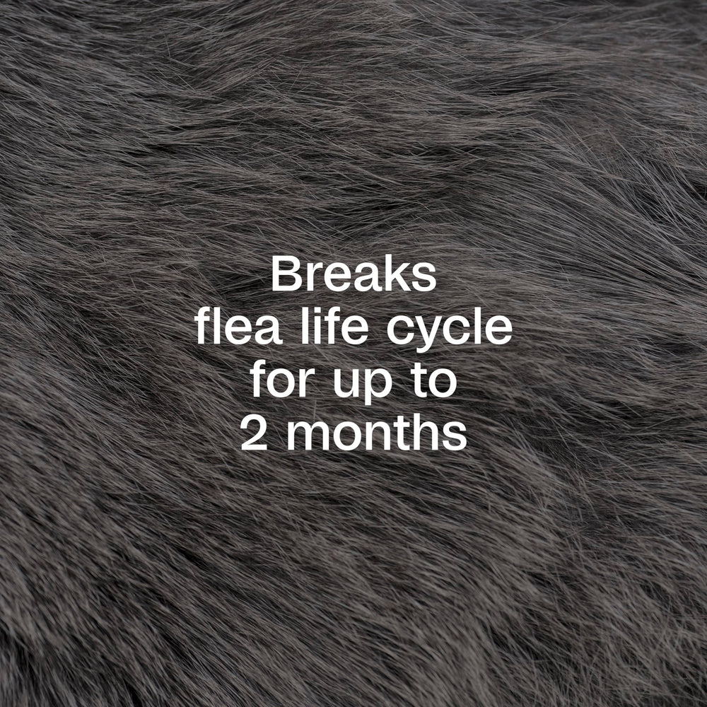 ADAMS Plus Flea & Tick Spray on dogs and cats during treatment.