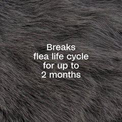 ADAMS Plus Flea & Tick Spray on dogs and cats during treatment.