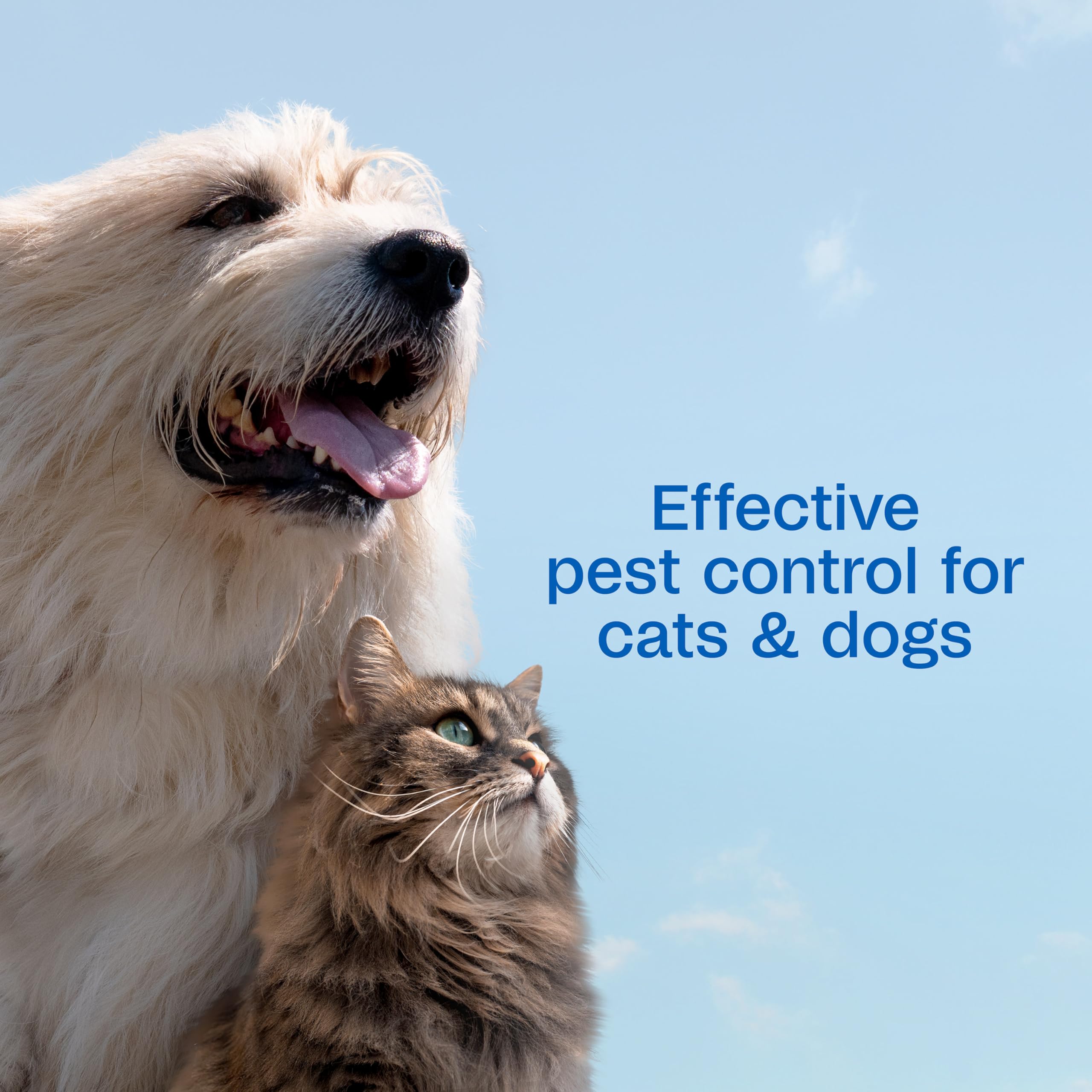 ADAMS Plus Flea & Tick Spray kills fleas and ticks, including deer ticks.