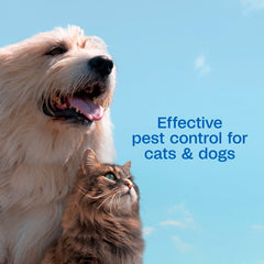 ADAMS Plus Flea & Tick Spray kills fleas and ticks, including deer ticks.