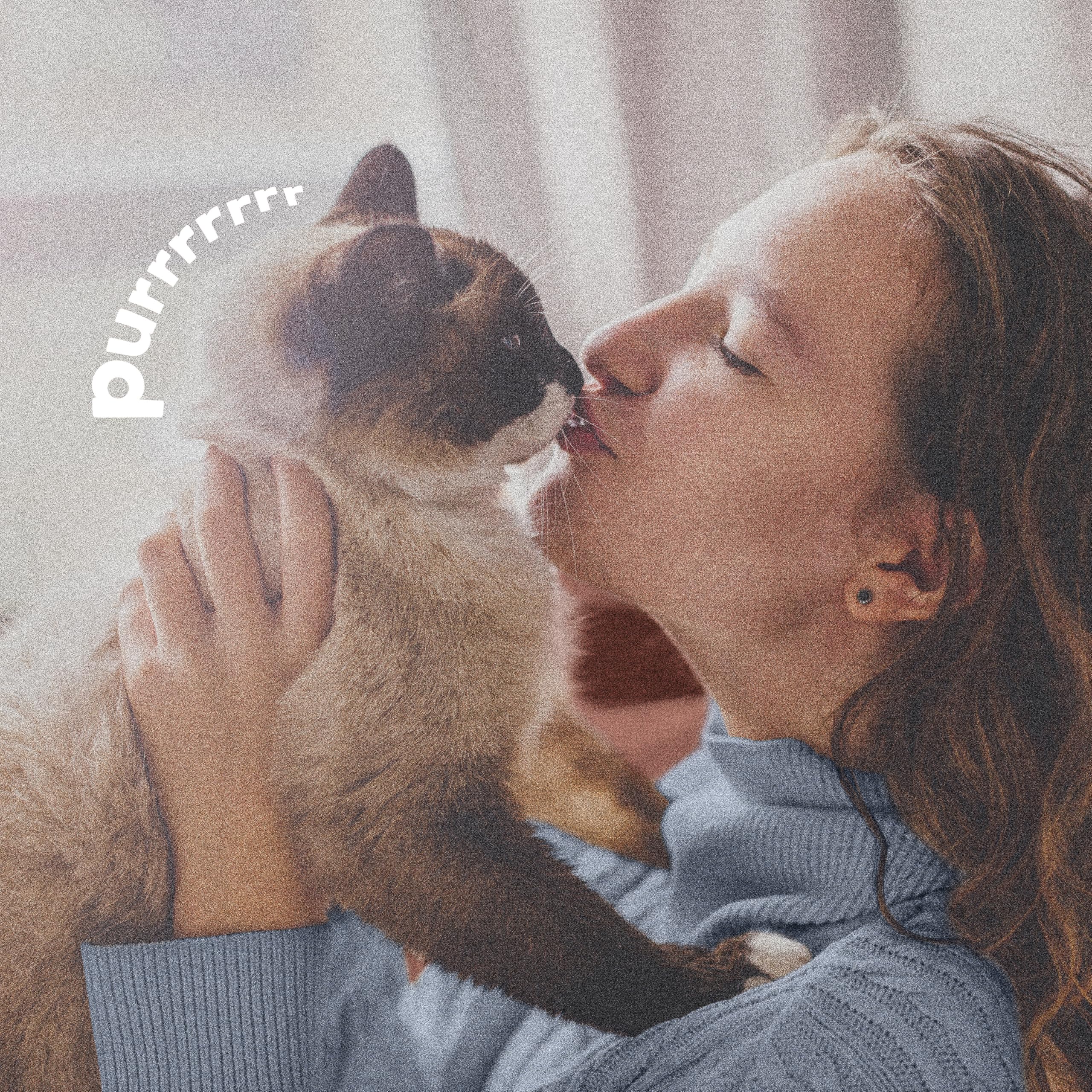 ADAMS Plus Flea & Tick Spray bottle with age guidelines for dogs and cats.