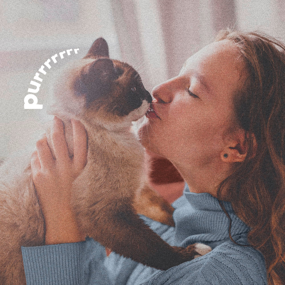 ADAMS Plus Flea & Tick Spray bottle with age guidelines for dogs and cats.