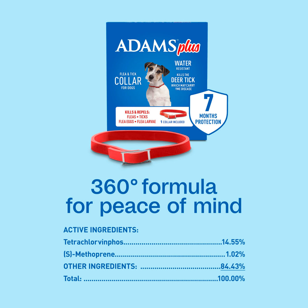 ADAMS Plus collar in home yard lifestyle context