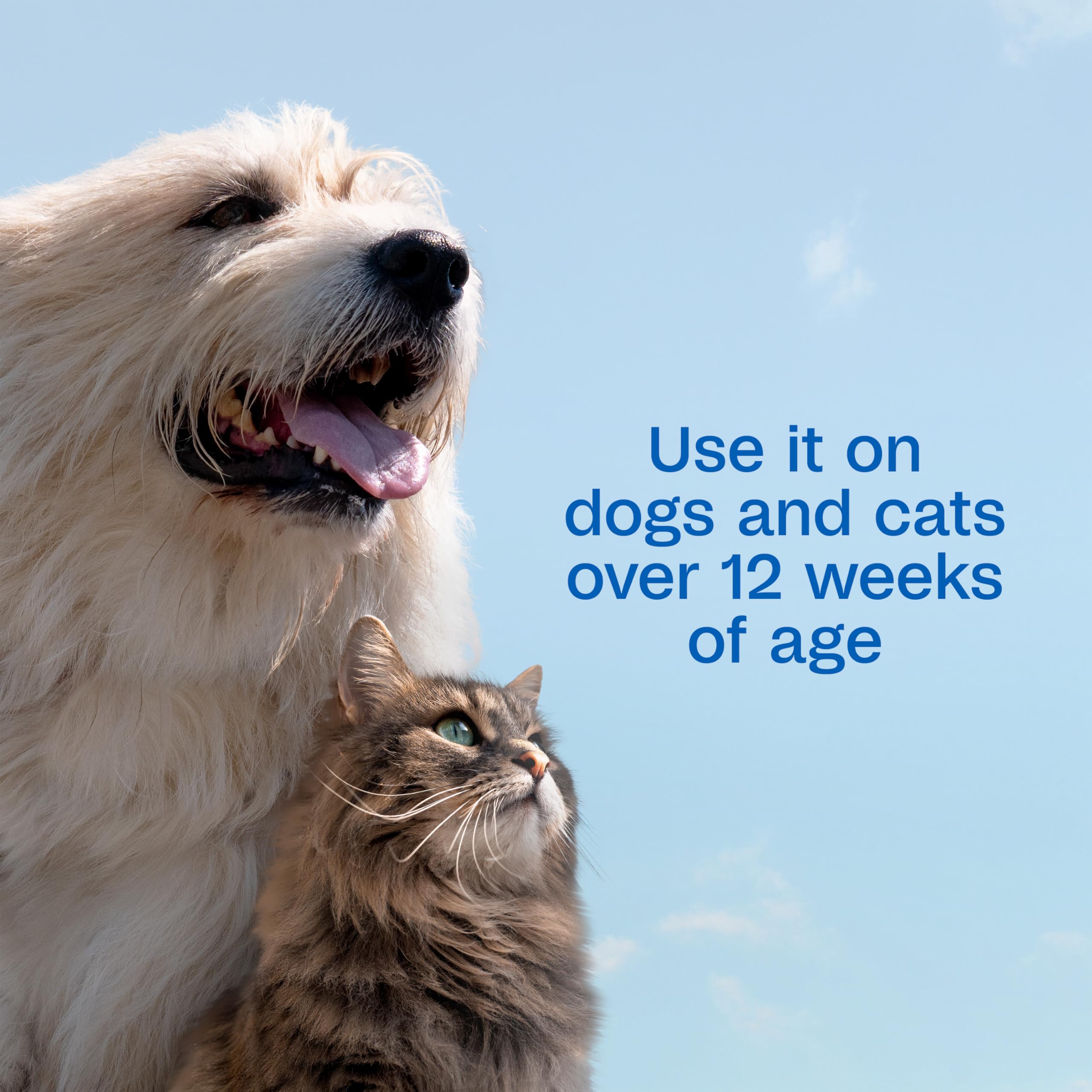 Step-by-step dip application with Adams Plus Pyrethrin Dip for simple protection