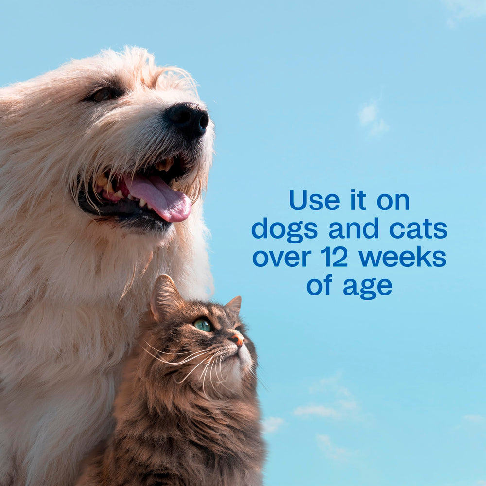 Step-by-step dip application with Adams Plus Pyrethrin Dip for simple protection