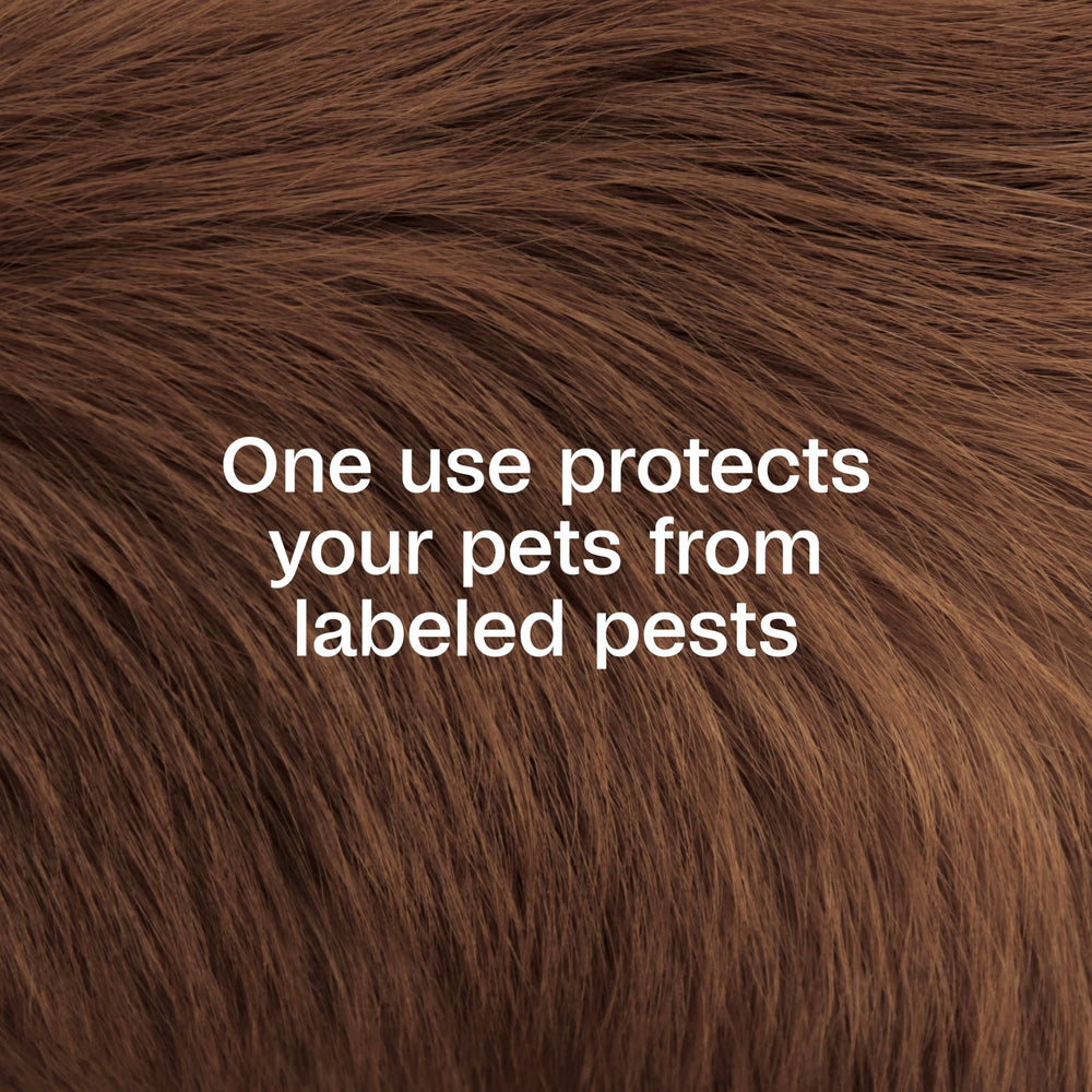 Pet drying after Adams Plus Pyrethrin Dip application, ready for protection
