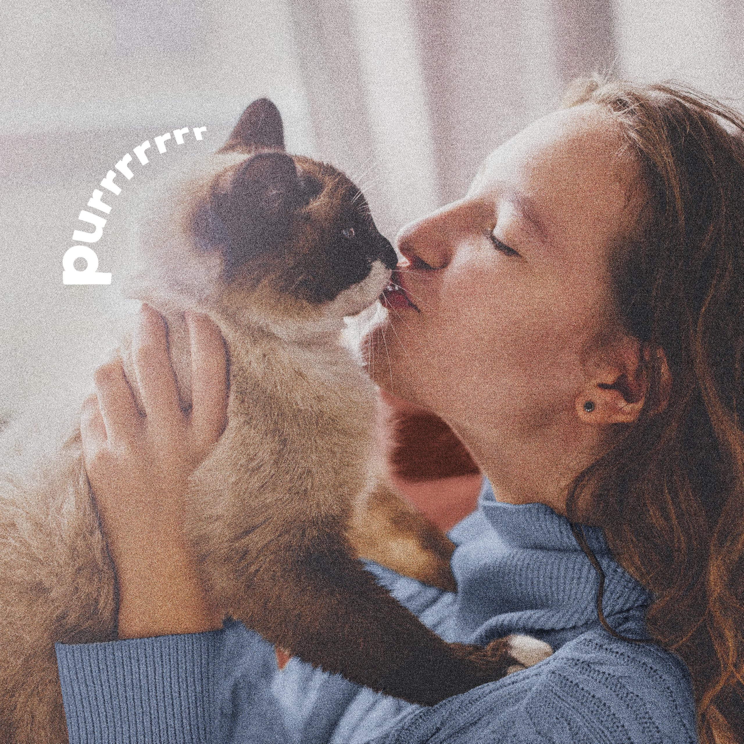 Adams Plus Pyrethrin Dip protects pets from fleas and ticks and more