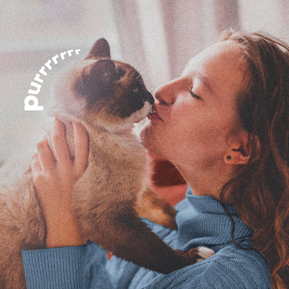Adams Plus Pyrethrin Dip protects pets from fleas and ticks and more