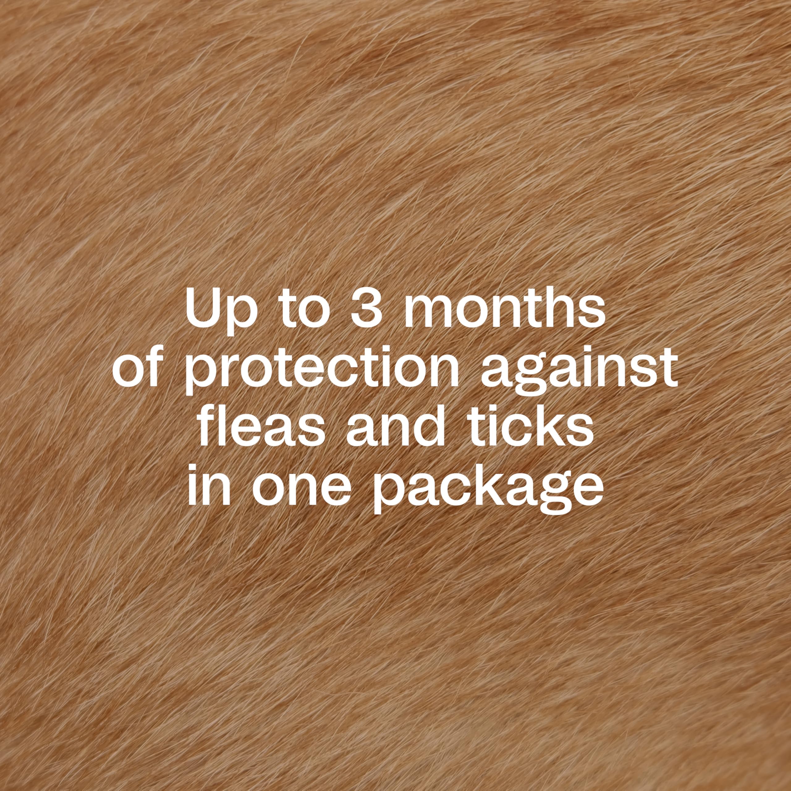 ADAMS Plus spread through the dog's skin after application for coverage.