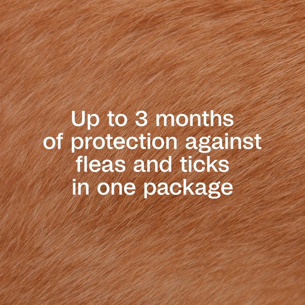 ADAMS Plus spread through the dog's skin after application for coverage.