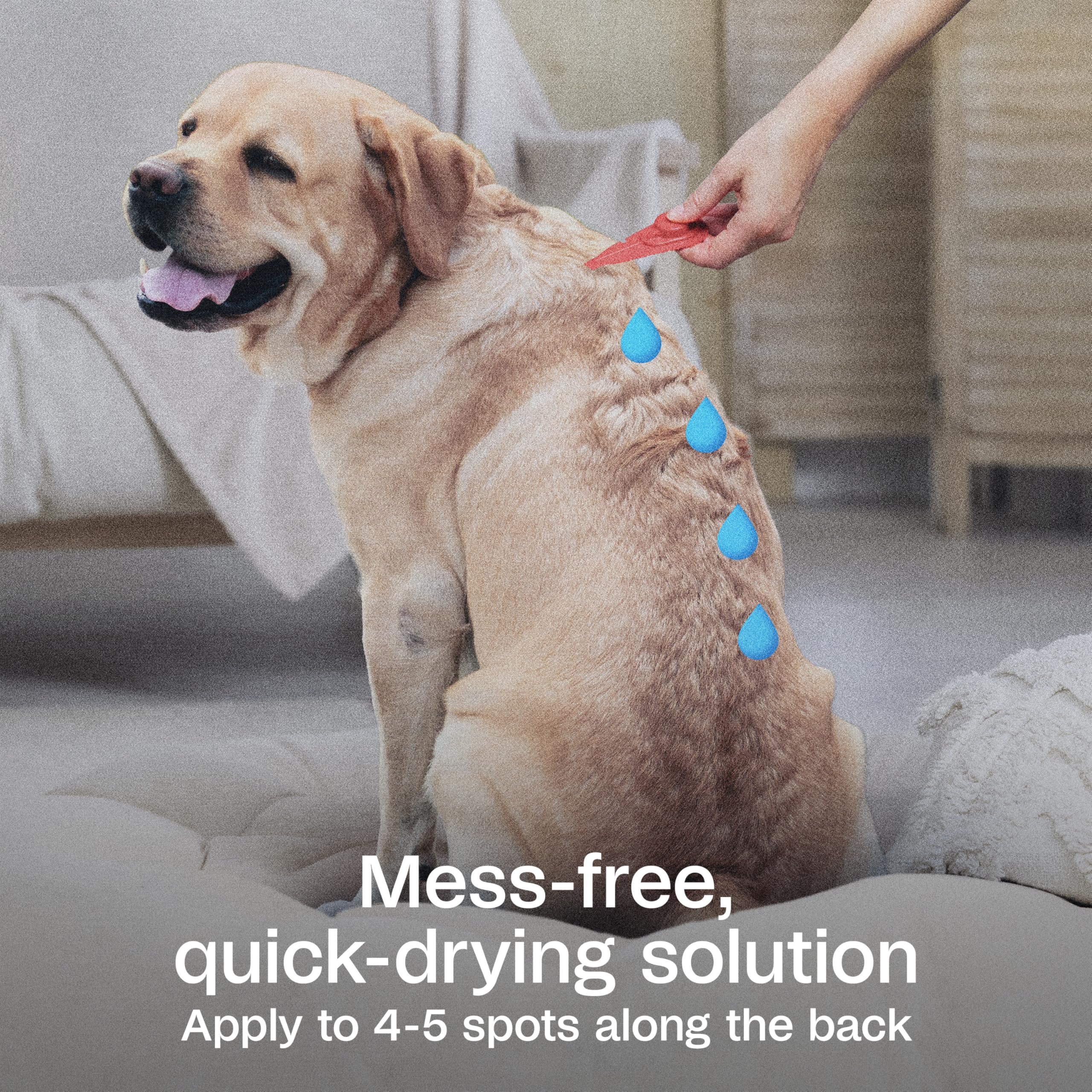 ADAMS Plus waterproof formula is quick-drying and stays on during activities.