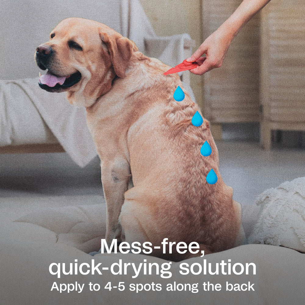 ADAMS Plus waterproof formula is quick-drying and stays on during activities.