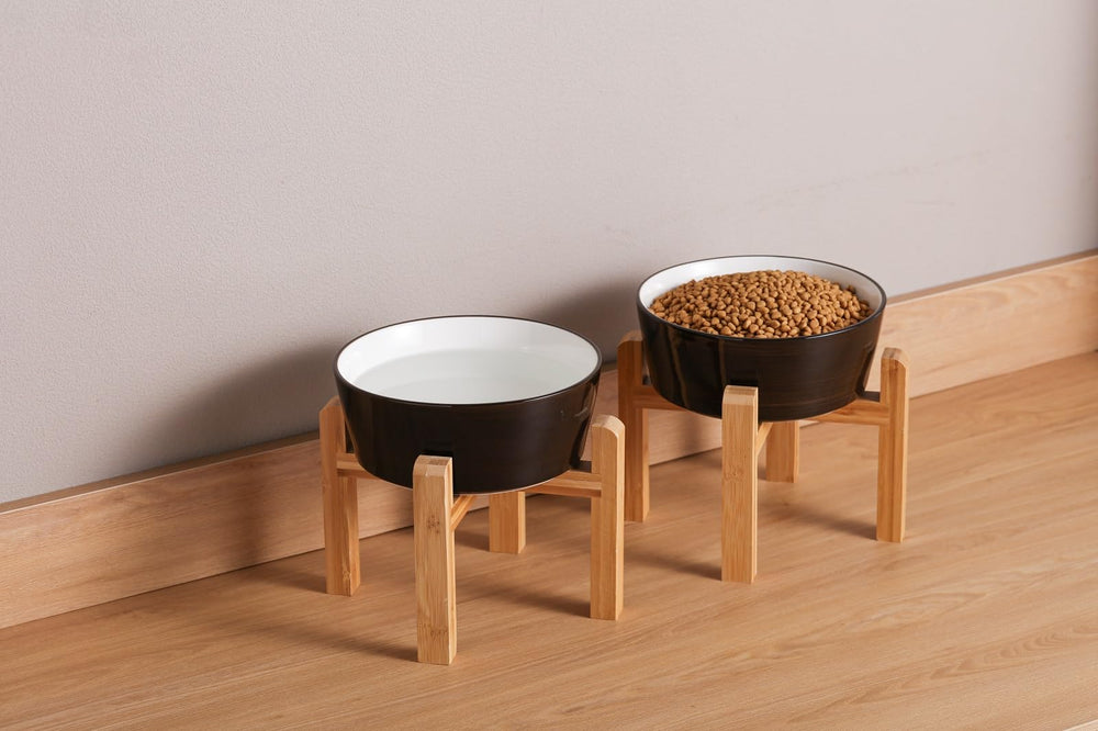 Addggo bowl demonstrates elevated feeding suitable for small to medium pets.
