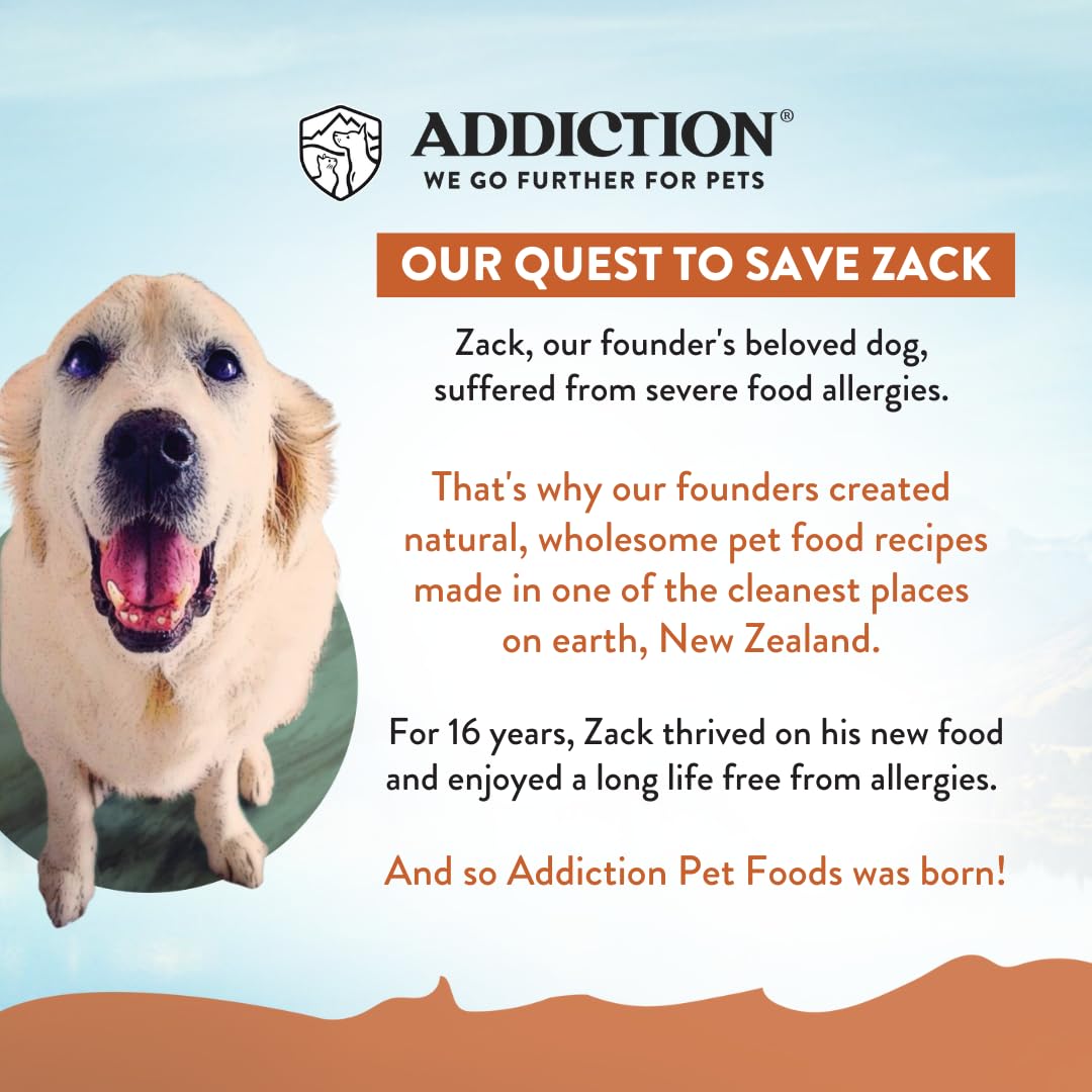 Addiction Meaty Bites dog enjoying treat during walk showing on-the-go rewards.