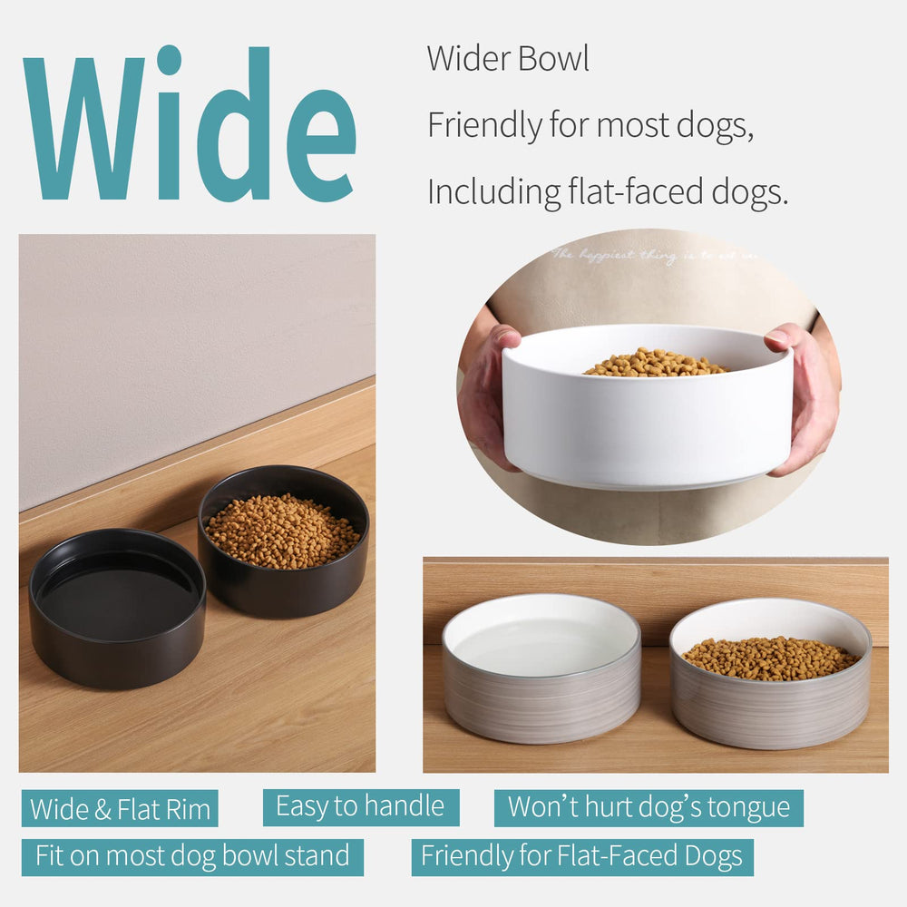 Addogyy feeding setup shown for indoor or outdoor use.
