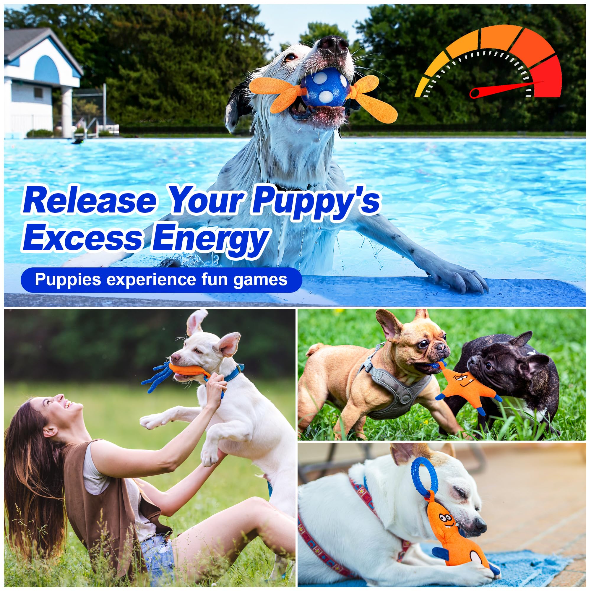 ADDPETS interactive chew toys energize puppies through social play