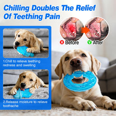 ADDPETS large-capacity freezable puppy toys delivering longer cooling sessions.