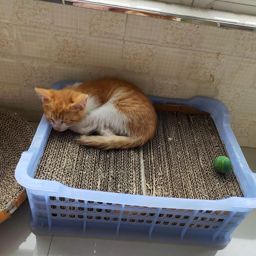 Aderroo Cardboard Cutter enabling precise design cuts for cat scratcher projects.