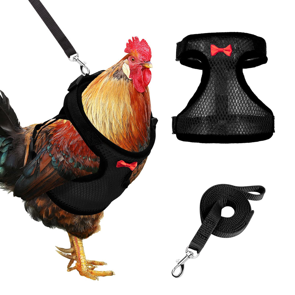 Adhafera chicken harness with bow design for cute training visibility