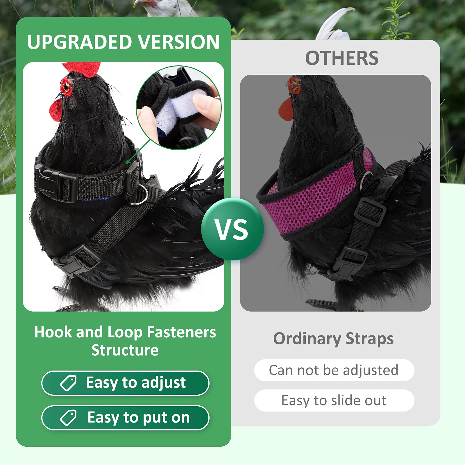 Adhafera chicken harness and leash paired set for easy outdoor walks