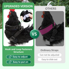 Adhafera chicken harness and leash paired set for easy outdoor walks