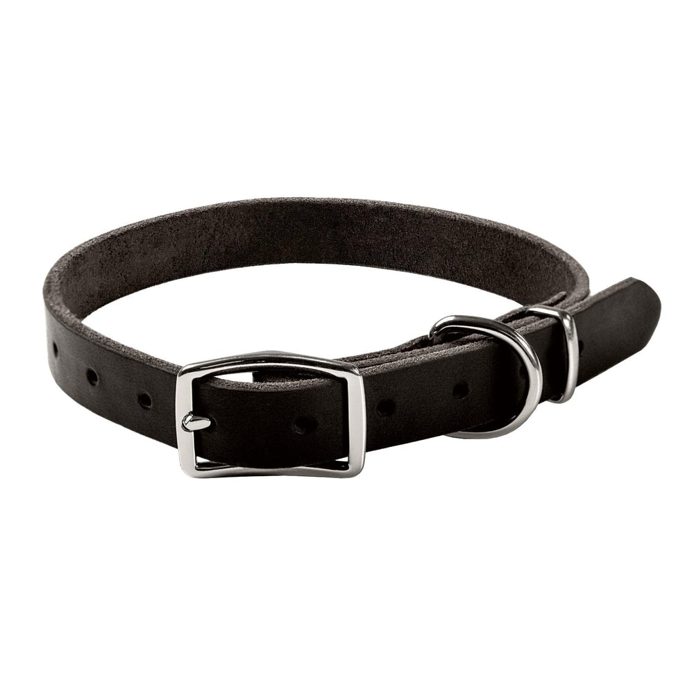 ADITYNA black leather dog collar gift-packaging-ready presents elegance for pet lovers.