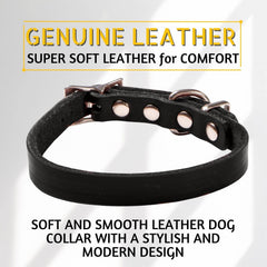 ADITYNA black leather dog collar handmade-detail showcases artisanal craftsmanship and durability.