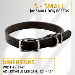 ADITYNA black leather dog collar small-dog-walking shows comfortable design during everyday strolls.