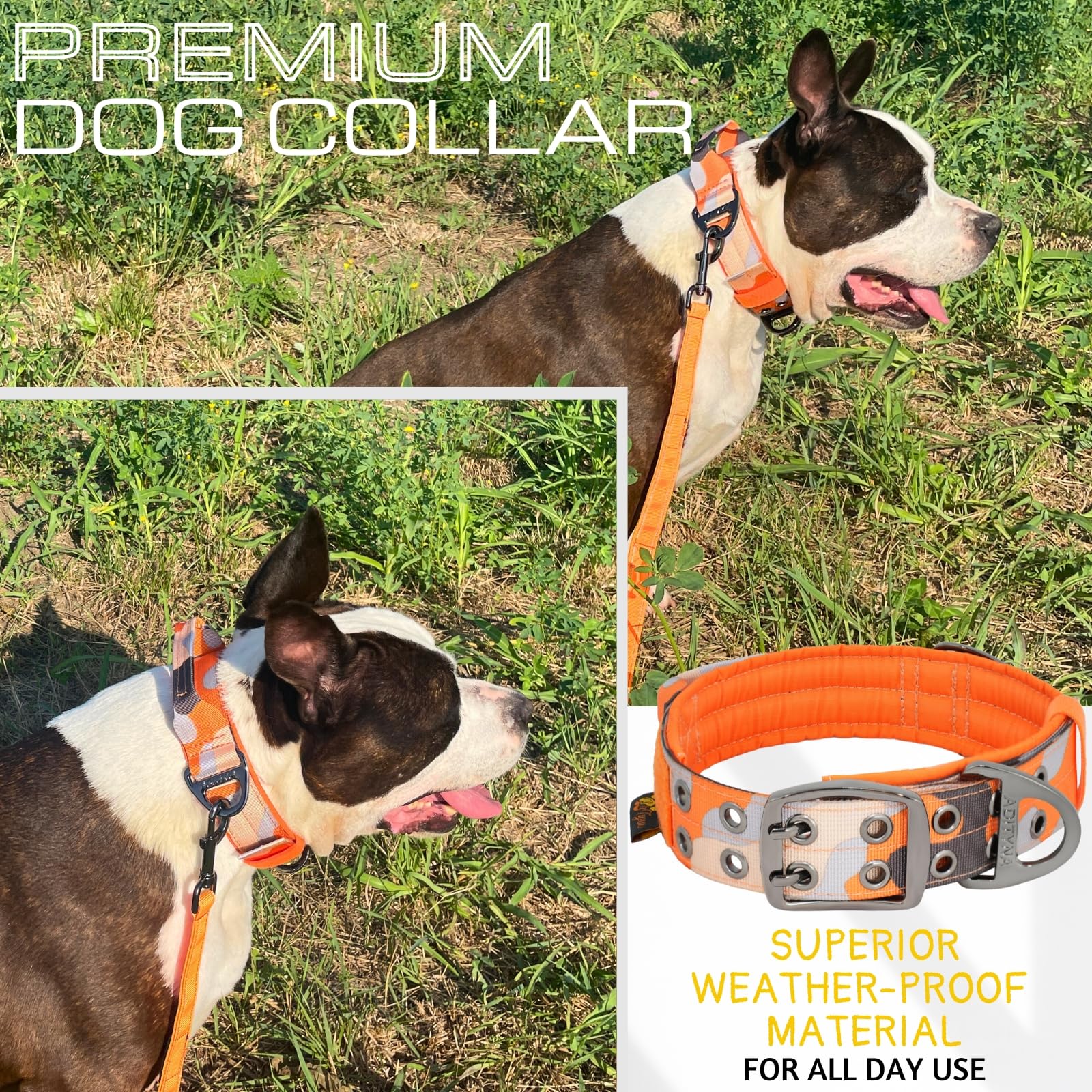 ADITYNA durable weather-resistant collar suitable for all outdoor conditions