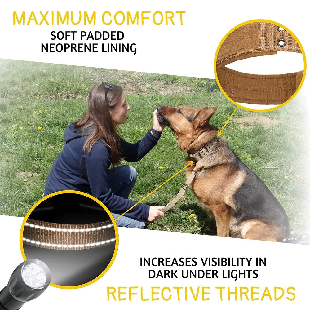 ADITYNA sturdy D-ring leash attachment for reliable control.