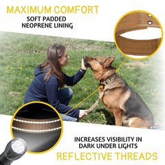 ADITYNA sturdy D-ring leash attachment for reliable control.