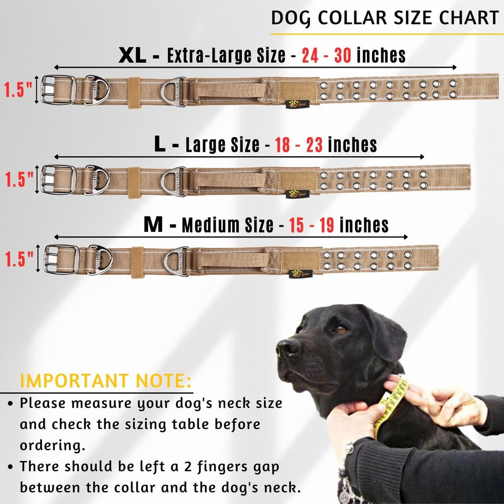 ADITYNA reflective stitching on large dog collar for night visibility.