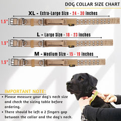 ADITYNA reflective stitching on large dog collar for night visibility.