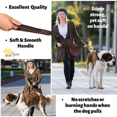 ADITYNA heavy-duty leather leash with 360° stainless steel clasp for secure control.