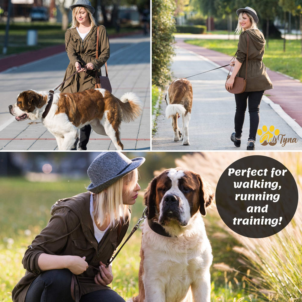 ADITYNA leash extended to 6 ft for confident large-dog walks.