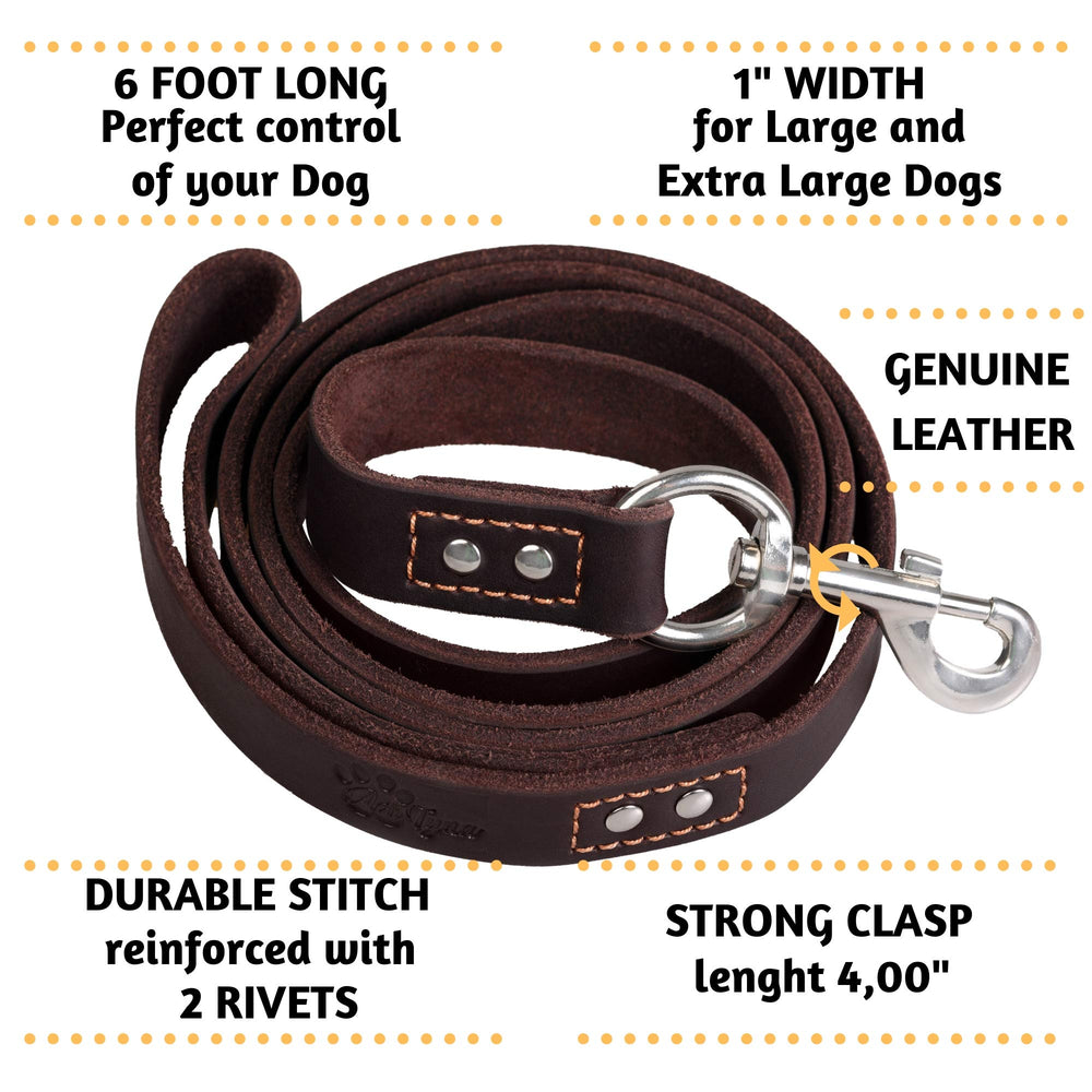 ADITYNA leather leash with soft-grip handle for comfortable control.