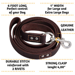ADITYNA leather leash with soft-grip handle for comfortable control.