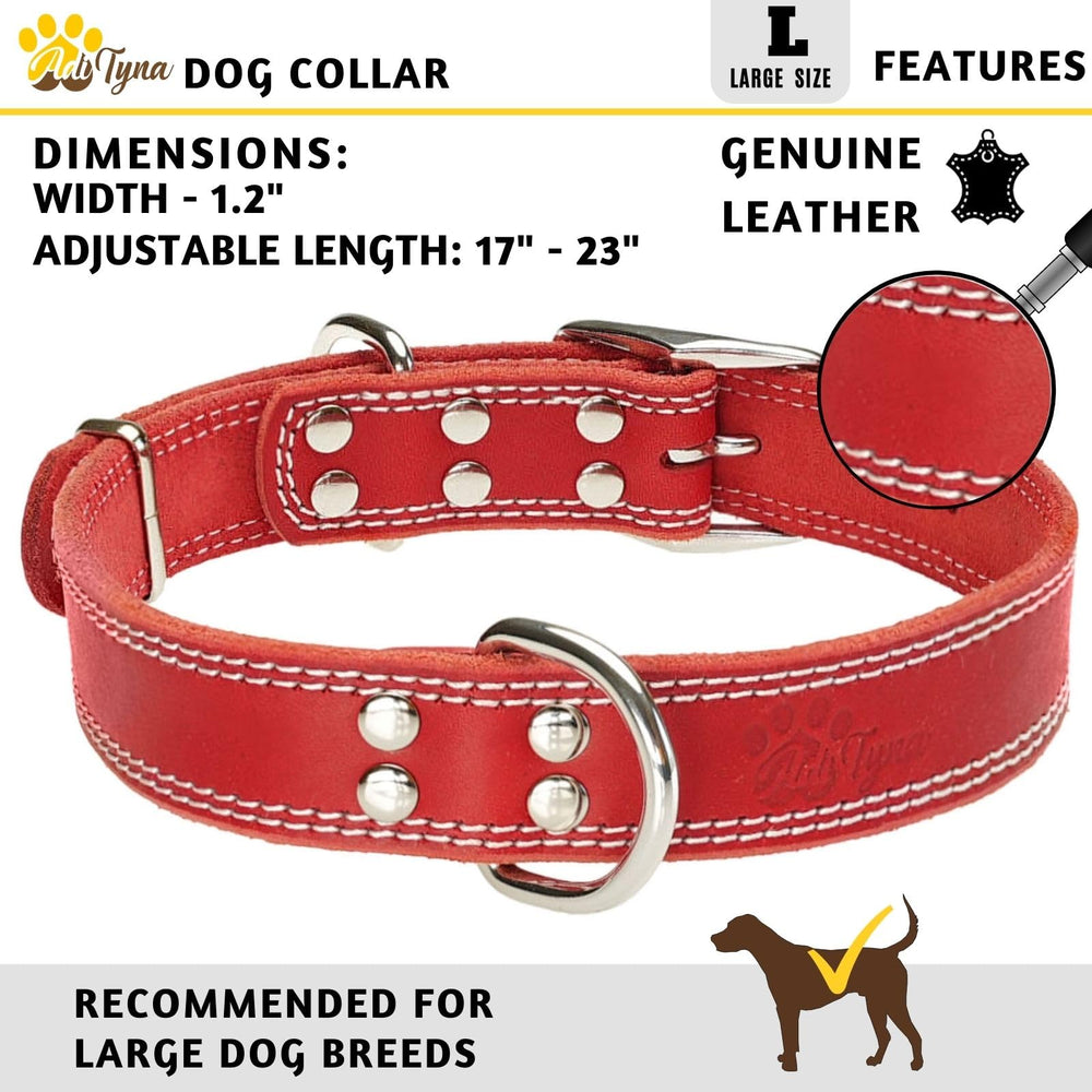 ADITYNA leather collar close-up showing double buckle for strong daily wear
