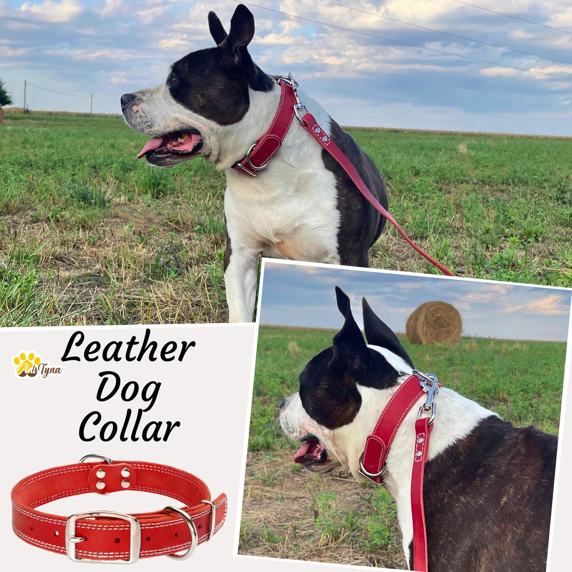 ADITYNA heavy-duty collar profile highlighting robust locking for strong pullers