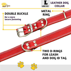 ADITYNA red leather collar with two D-rings for versatility during training