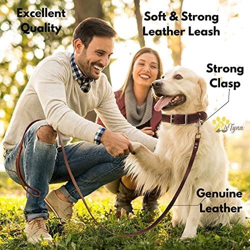 ADITYNA Leather Dog Leash ready-for-walking smooth control on moderate to strong pulls
