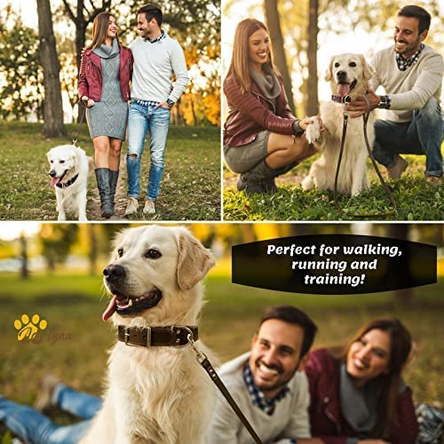 ADITYNA Leather Dog Leash ideal for hiking, providing reliable control in variable terrain
