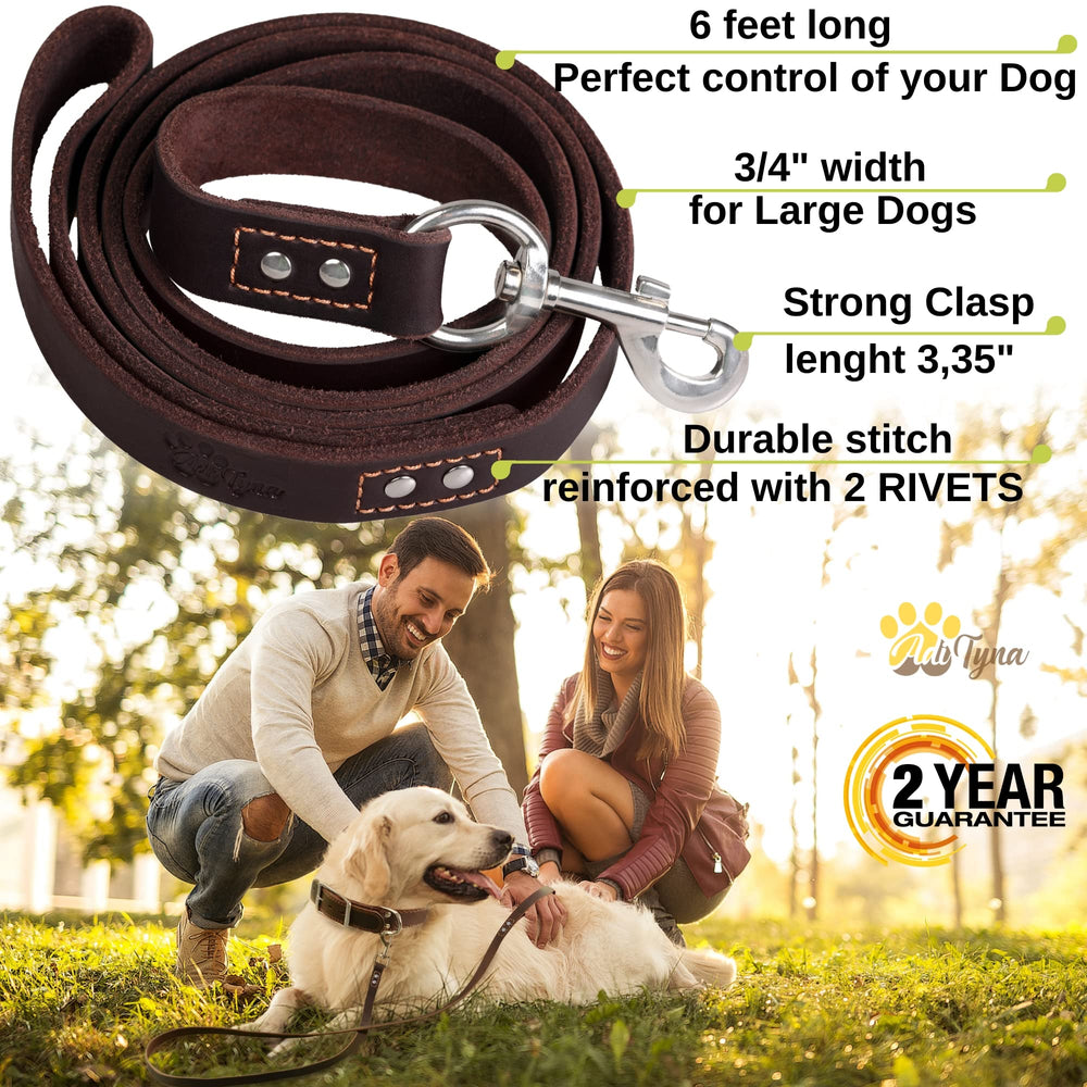 ADITYNA Leather Dog Leash with 360-degree stainless steel clasp for secure training sessions