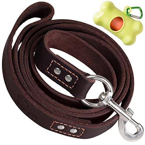 ADITYNA Leather Dog Leash ideal for versatile activities from walking to running