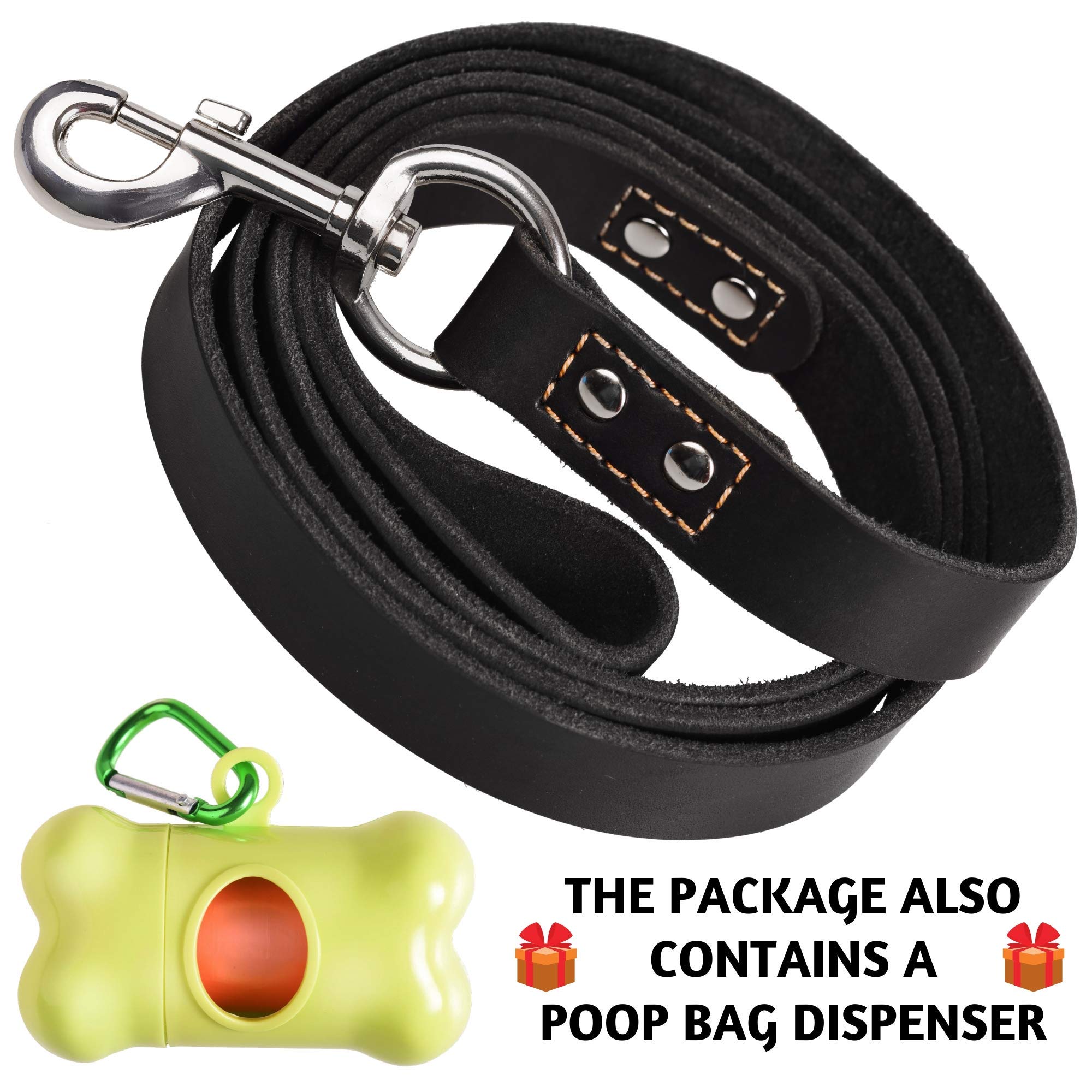 ADITYNA Leather Leash dog walking park scene illustrates versatility for medium and large breeds.