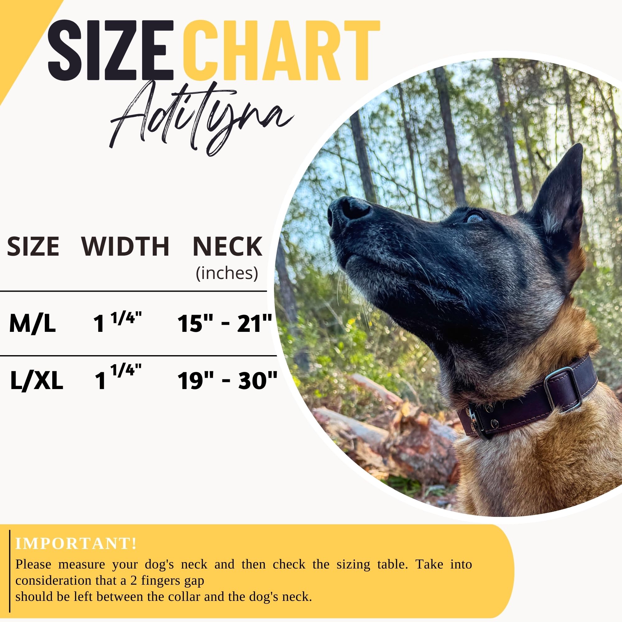 ADITYNA adjustable collar demonstrates 15-21 inch neck range