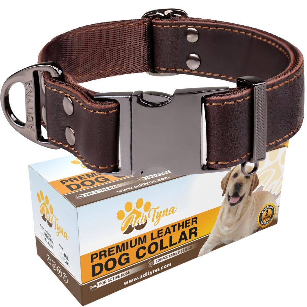 ADITYNA leather collar with steel D-ring for leash attachment