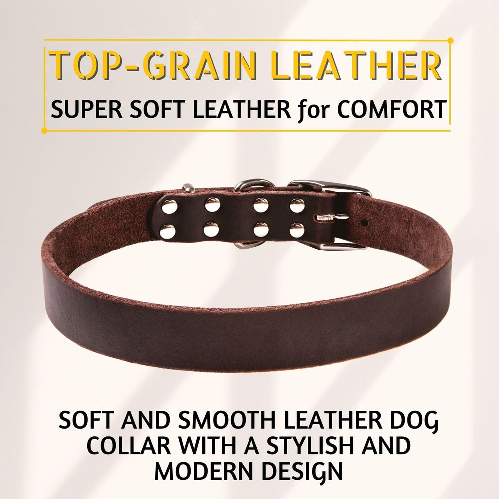 ADITYNA Leather Dog Collar worn by a large dog during a walk for comfort