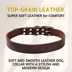 ADITYNA Leather Dog Collar worn by a large dog during a walk for comfort
